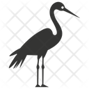 پیش‌نمایش فایل crane-bird-10078393 از پک شگفتی‌های طبیعت ۱