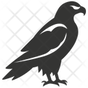 پیش‌نمایش فایل eagle-bird-10078391 از پک شگفتی‌های طبیعت ۱