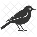 پیش‌نمایش فایل flycatcher-bird-10078387 از پک شگفتی‌های طبیعت ۱