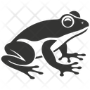 پیش‌نمایش فایل frog-10078340 از پک شگفتی‌های طبیعت ۱