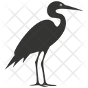 پیش‌نمایش فایل heron-bird-10078380 از پک شگفتی‌های طبیعت ۱