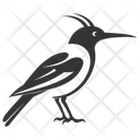 پیش‌نمایش فایل hoopoe-bird-10078377 از پک شگفتی‌های طبیعت ۱