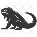 پیش‌نمایش فایل iguana-10078343 از پک شگفتی‌های طبیعت ۱