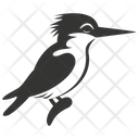 پیش‌نمایش فایل kingfisher-bird-10078364 از پک شگفتی‌های طبیعت ۱