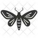 پیش‌نمایش فایل moth-insect-10078326 از پک شگفتی‌های طبیعت ۱
