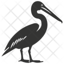 پیش‌نمایش فایل pelican-bird-10078370 از پک شگفتی‌های طبیعت ۱