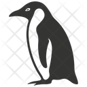 پیش‌نمایش فایل penguin-bird-10078371 از پک شگفتی‌های طبیعت ۱