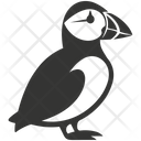 پیش‌نمایش فایل puffin-bird-10078362 از پک شگفتی‌های طبیعت ۱