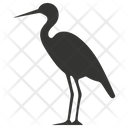 پیش‌نمایش فایل rhea-bird-10078350 از پک شگفتی‌های طبیعت ۱
