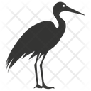 پیش‌نمایش فایل stork-bird-10078359 از پک شگفتی‌های طبیعت ۱