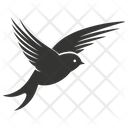 پیش‌نمایش فایل swallow-bird-10078357 از پک شگفتی‌های طبیعت ۱