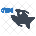 پیش‌نمایش فایل catch-small-fish-1576966 از پک کسب‌وکار – مجموعه ۲