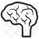 پیش‌نمایش فایل brain-202 از پک پزشکی و سلامت، سری مشکی، مجموعه ۱