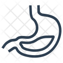 پیش‌نمایش فایل digestion-2 از پک سلامت، خطی ۳