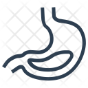 پیش‌نمایش فایل gastroenterology-2 از پک سلامت، خطی ۱