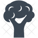 پیش‌نمایش فایل cauliflower-2956191 از پک سبزیجات