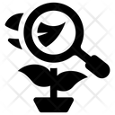 پیش‌نمایش فایل botany-experiment-3782090 از پک علم