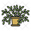 پیش‌نمایش فایل flower-pot-49 از پک مبلمان