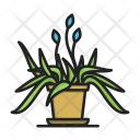 پیش‌نمایش فایل flower-pot-50 از پک مبلمان