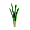 پیش‌نمایش فایل leek-8515980 از پک مواد غذایی