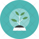 پیش‌نمایش فایل tree-745 از پک نجوم