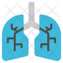 پیش‌نمایش فایل lung-19 از پک مراقبت سلامت و پزشکی تخت