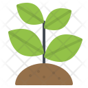 پیش‌نمایش فایل sprout-24 از پک کشاورزی فلت