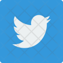 پیش‌نمایش فایل twitter-social-square-network از پک کولیکون