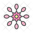 پیش‌نمایش فایل flower-african-daisy-osteospermum-blossom-nature-spring از پک بهار و گل
