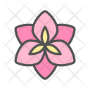 پیش‌نمایش فایل flower-amaryllis-blossom-nature-spring از پک بهار و گل
