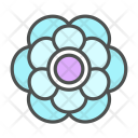 پیش‌نمایش فایل flower-anenome-blossom-nature-spring از پک بهار و گل