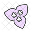 پیش‌نمایش فایل flower-bougainvillea-blossom-nature-spring از پک بهار و گل