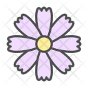 پیش‌نمایش فایل flower-cosmos-daisy-blossom-nature-spring از پک بهار و گل