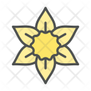 پیش‌نمایش فایل flower-daffodil-blossom-nature-spring از پک بهار و گل