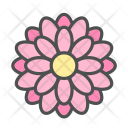 پیش‌نمایش فایل flower-dahlia-blossom-nature-spring از پک بهار و گل