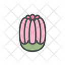 پیش‌نمایش فایل flower-dahlia-bud-blossom-nature-spring از پک بهار و گل