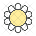 پیش‌نمایش فایل flower-daisy-blossom-nature-spring-1 از پک بهار و گل
