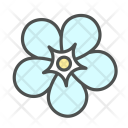 پیش‌نمایش فایل flower-forget-me-not-blossom-nature-spring از پک بهار و گل