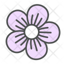 پیش‌نمایش فایل flower-geranium-blossom-nature-spring-1 از پک بهار و گل
