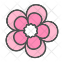 پیش‌نمایش فایل flower-geranium-blossom-nature-spring از پک بهار و گل