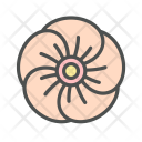 پیش‌نمایش فایل flower-hibiscus-blossom-nature-spring از پک بهار و گل