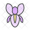 پیش‌نمایش فایل flower-iris-blossom-nature-spring از پک بهار و گل