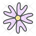 پیش‌نمایش فایل flower-phlox-bifida-blossom-nature-spring از پک بهار و گل