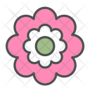 پیش‌نمایش فایل flower-pink-blossom-nature-spring از پک بهار و گل