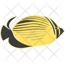 پیش‌نمایش فایل blacktail-butterfly-fish-1962770 از پک ماهی