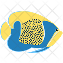 پیش‌نمایش فایل blue-girdled-angelfish-1962814 از پک ماهی