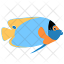 پیش‌نمایش فایل blueface-angelfish-1962768 از پک ماهی