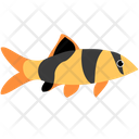 پیش‌نمایش فایل clown-loach-fish-1962801 از پک ماهی