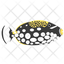 پیش‌نمایش فایل clown-triggerfish-1962799 از پک ماهی