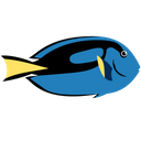 پیش‌نمایش فایل dory-blue-tang-fish-1962774 از پک ماهی